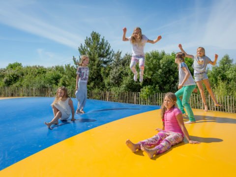 Trampoline