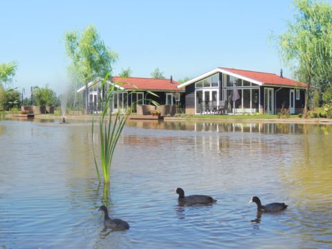 uitdrukken Verplicht contact Te koop aan het water - Vis-vakanties.nl