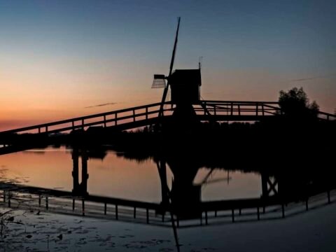 deBiesbosch
